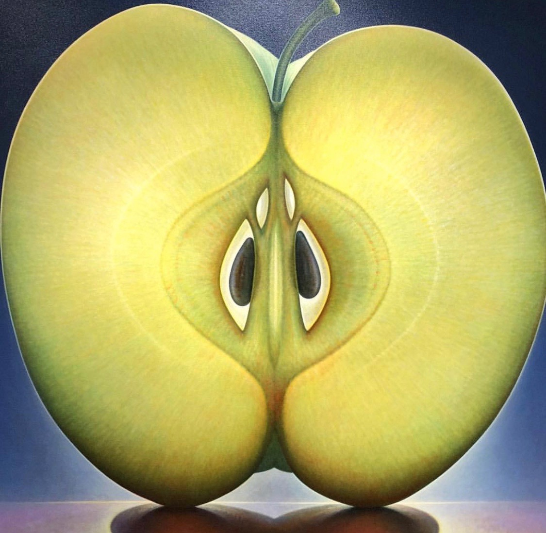 Apple Series #1 (50 x 54)