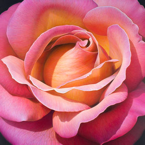 Flower Series #24