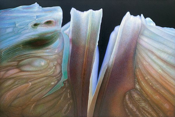 Citrus Series #25