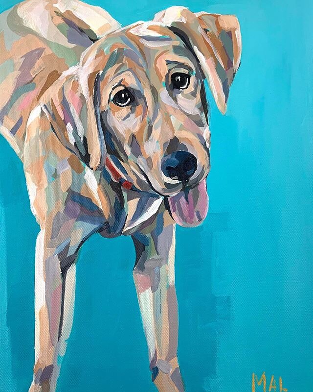 &lsquo;Zena&rsquo; is on her way home today! I loved this leggy lab and thought her playfulness in this pose was so engaging. A couple of years ago, I painted her big brother Zeus. The portraits coordinate, so they&rsquo;ll look great hanging side by