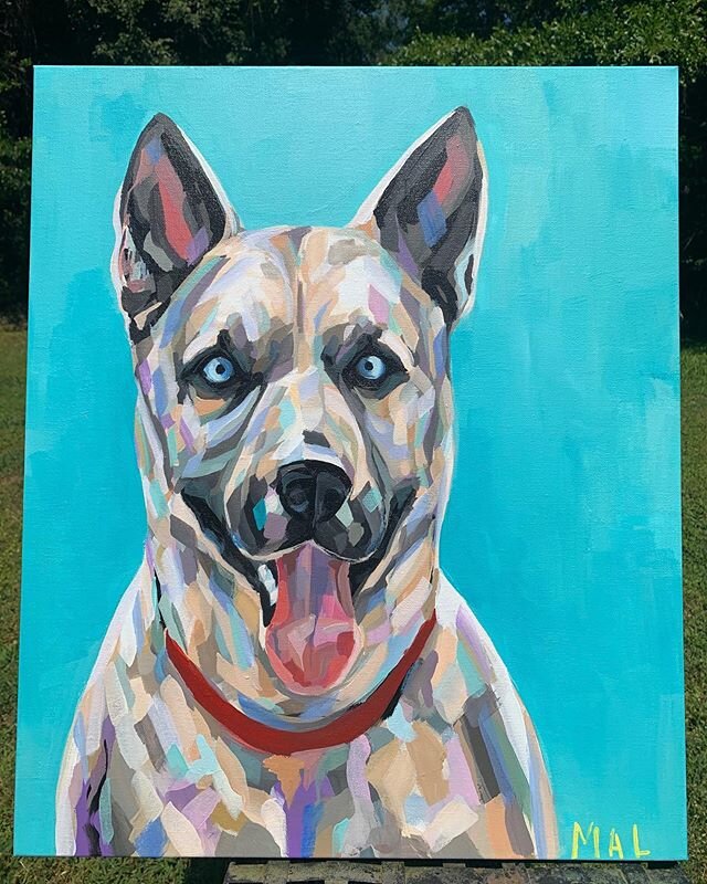 &lsquo;Laika&rsquo; made it home to Alaska. By far the furthest I&rsquo;ve shipped a painting so far! I had the opportunity to know Laika (named after the first dog in outer space), and she had the most stunning blue eyes. So sad this girl is over th