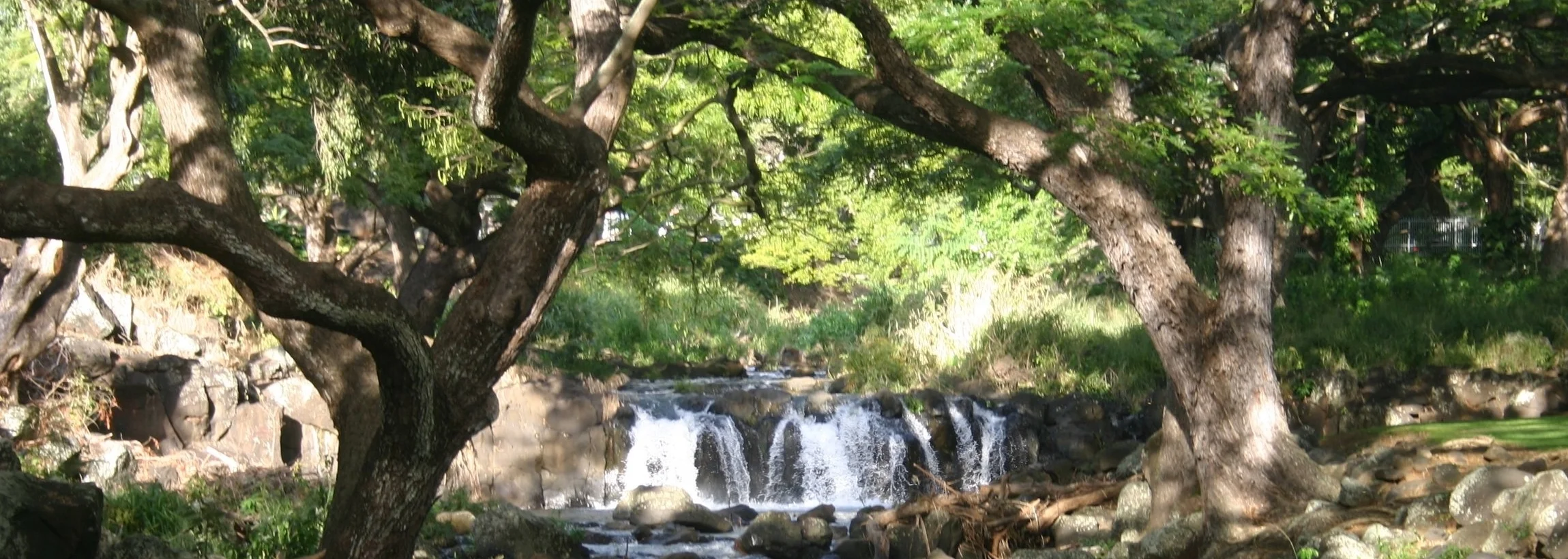p- waterfall- panorama.jpg