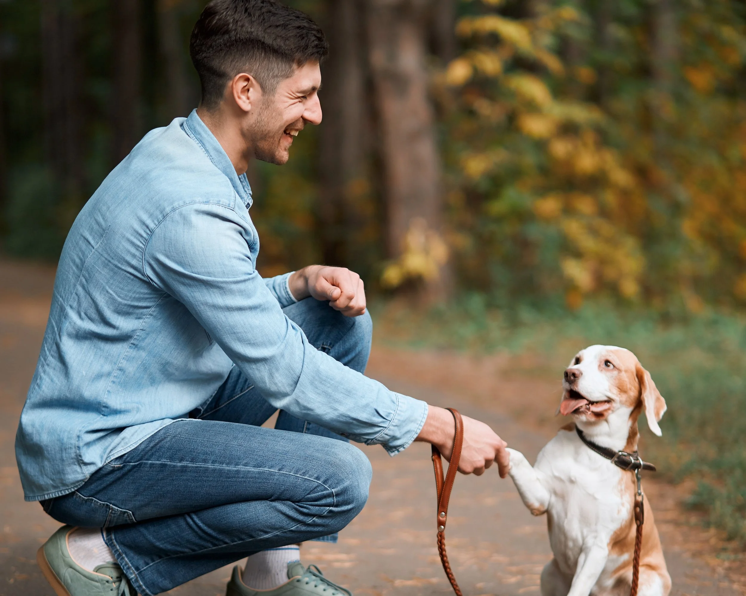 Introduction to Animal Communication