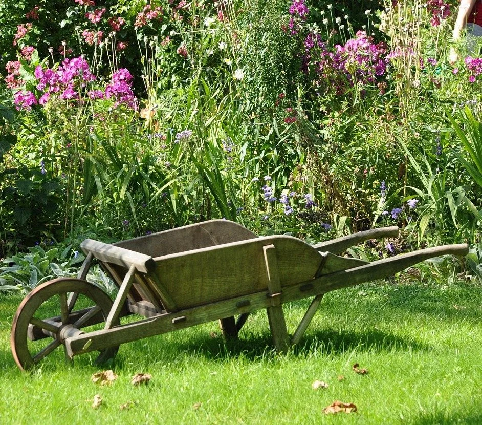 Intuitive Gardening I