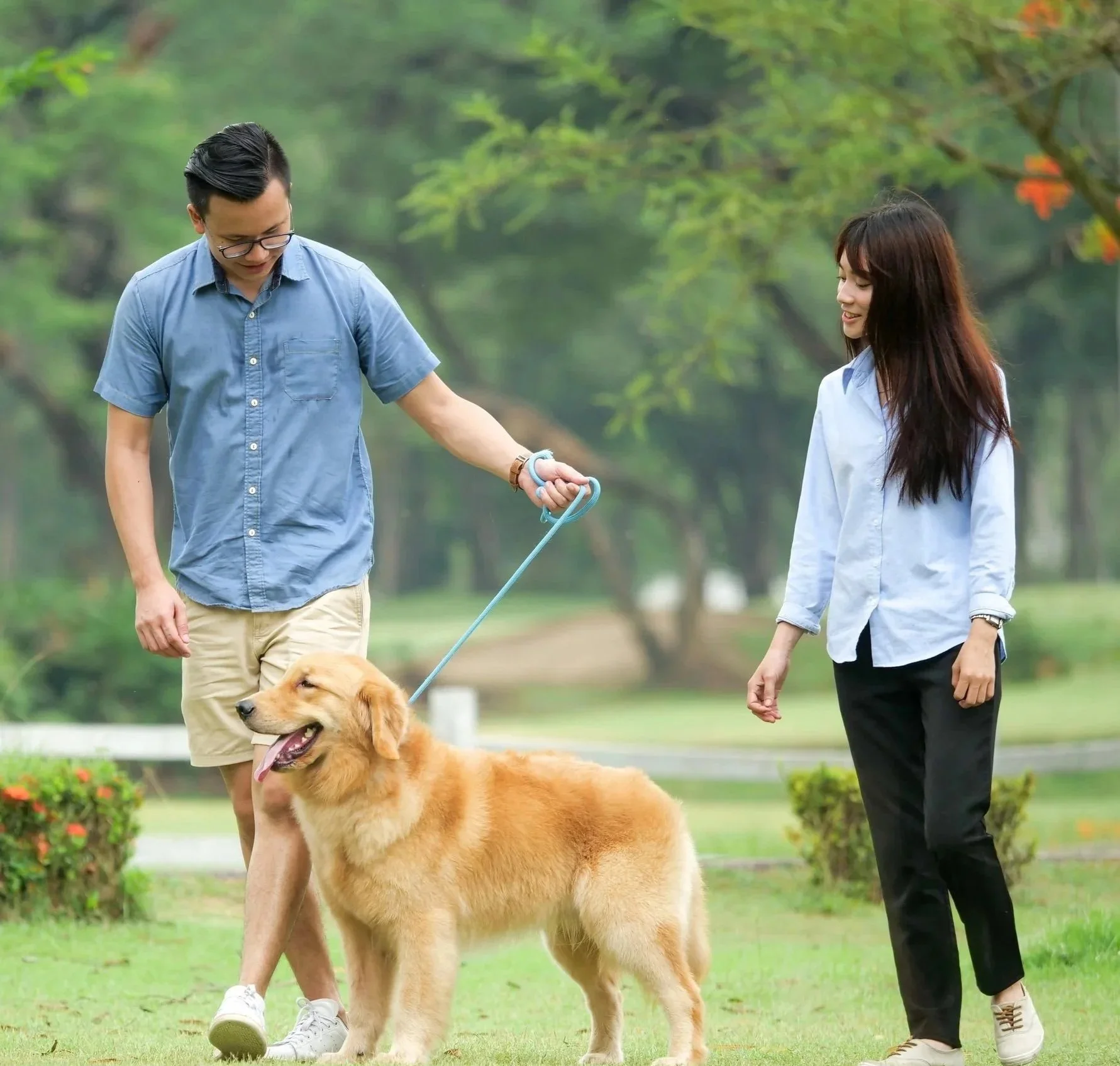 Animal Communication: Behavior Focus