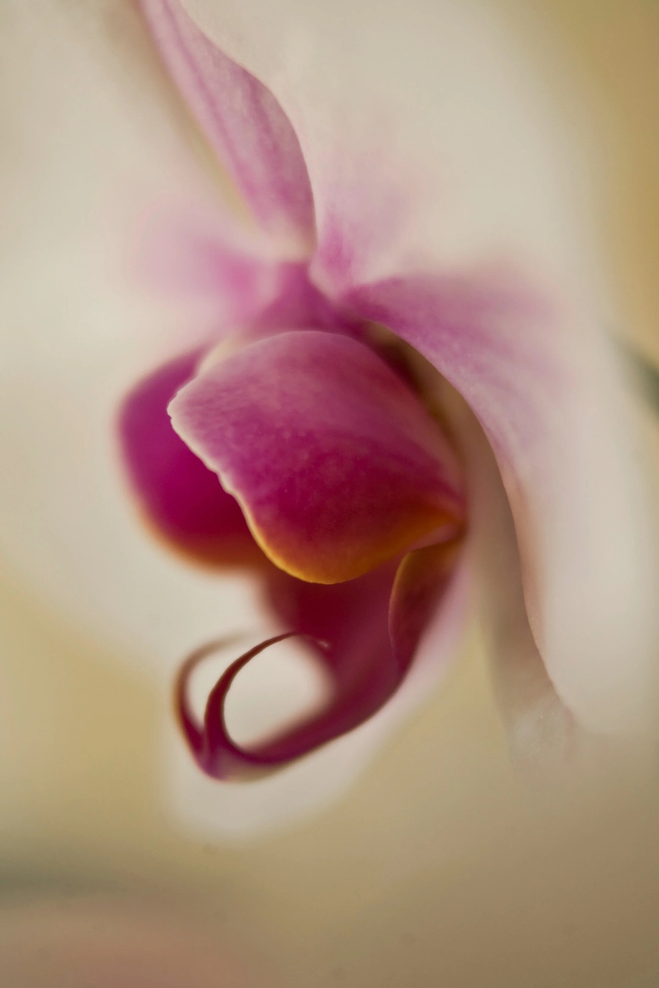 Sacred Sexuality