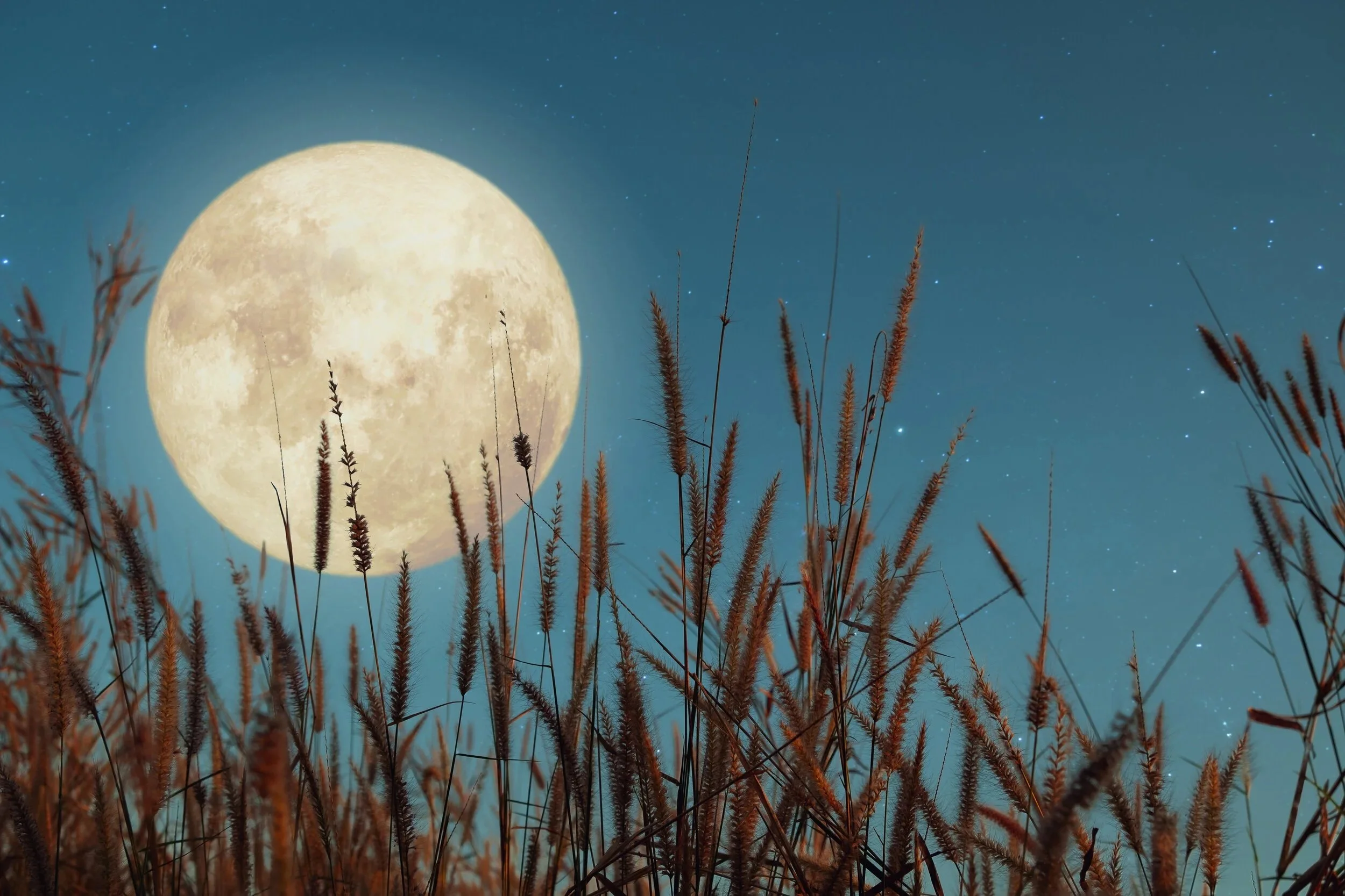 Autumn Equinox Meditation