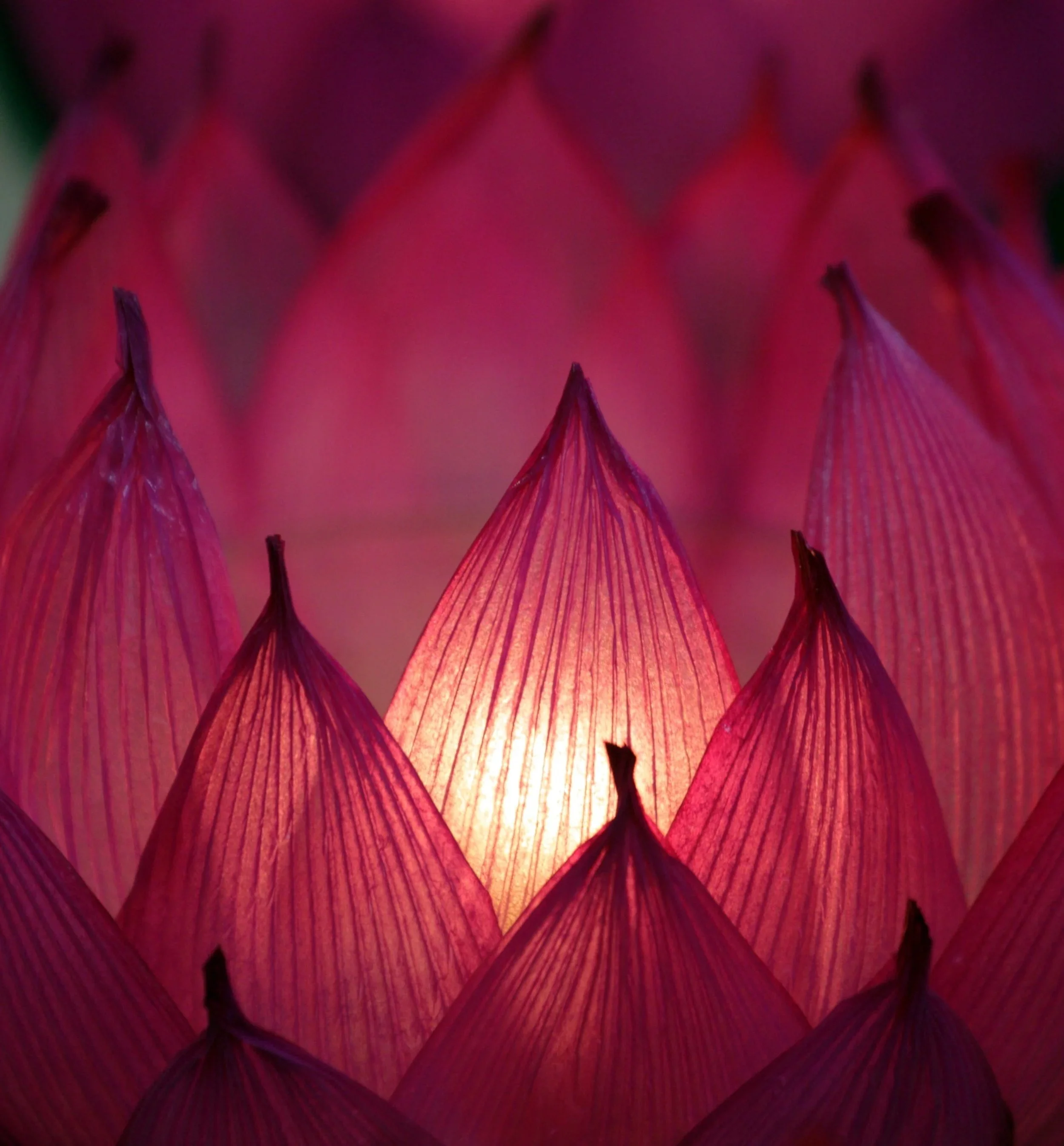 Endings &amp; Beginnings: New Year's Workshop 