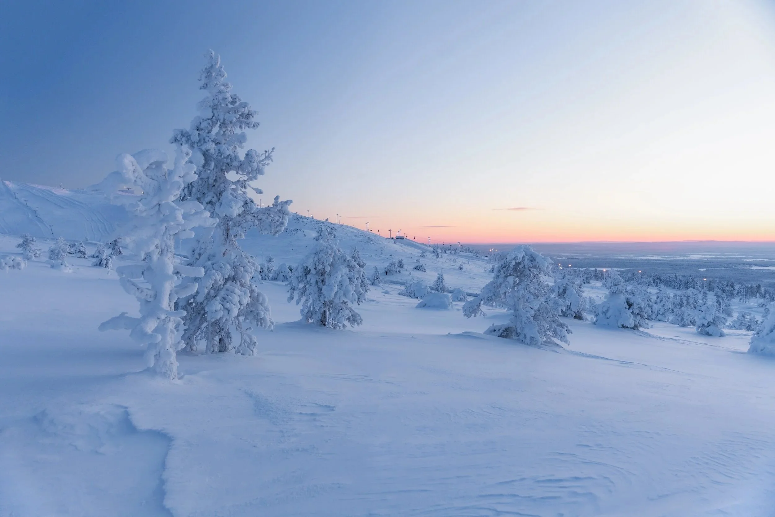 winter- snowy lands.jpg