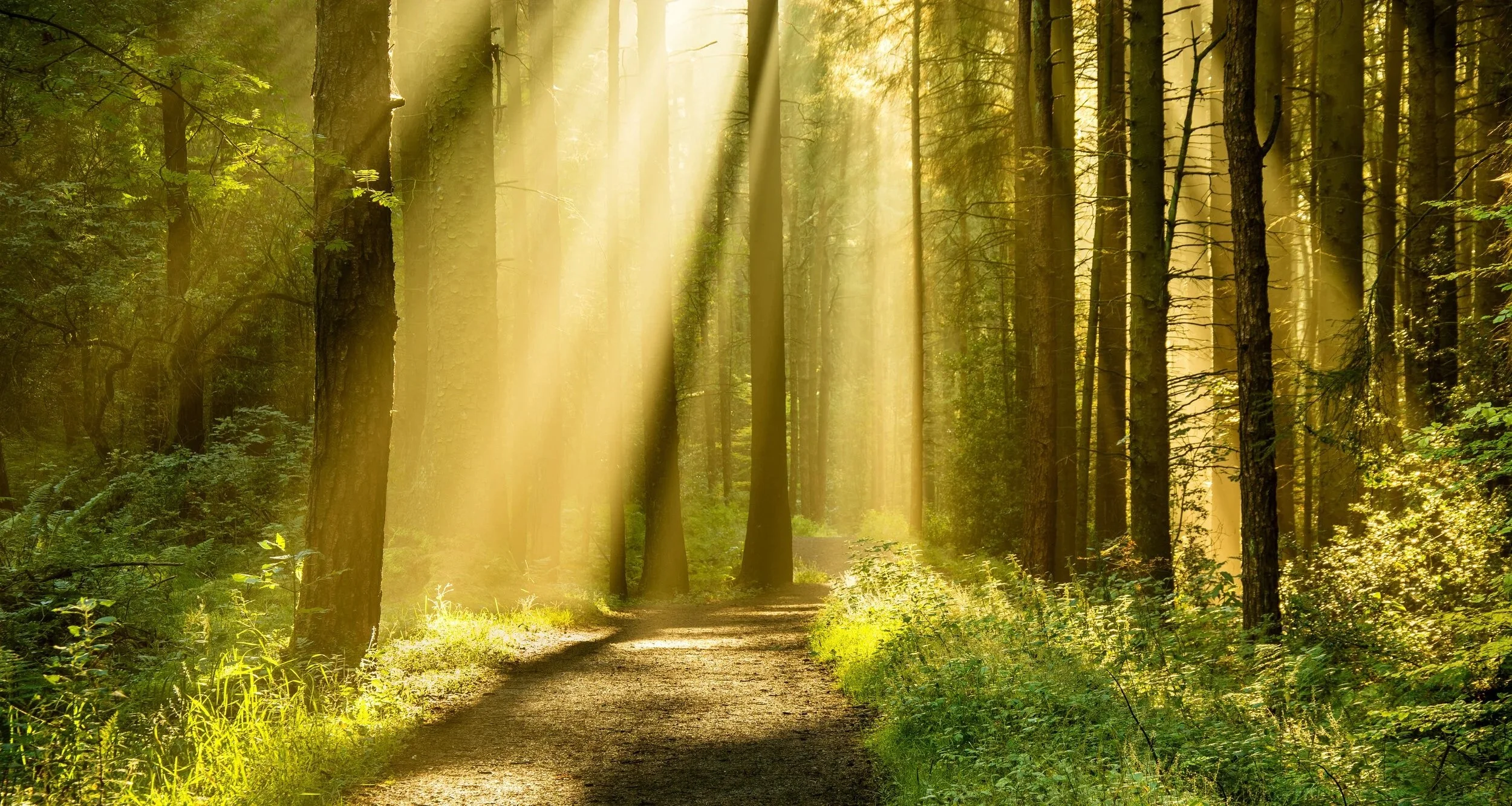 Summer Solstice Meditation