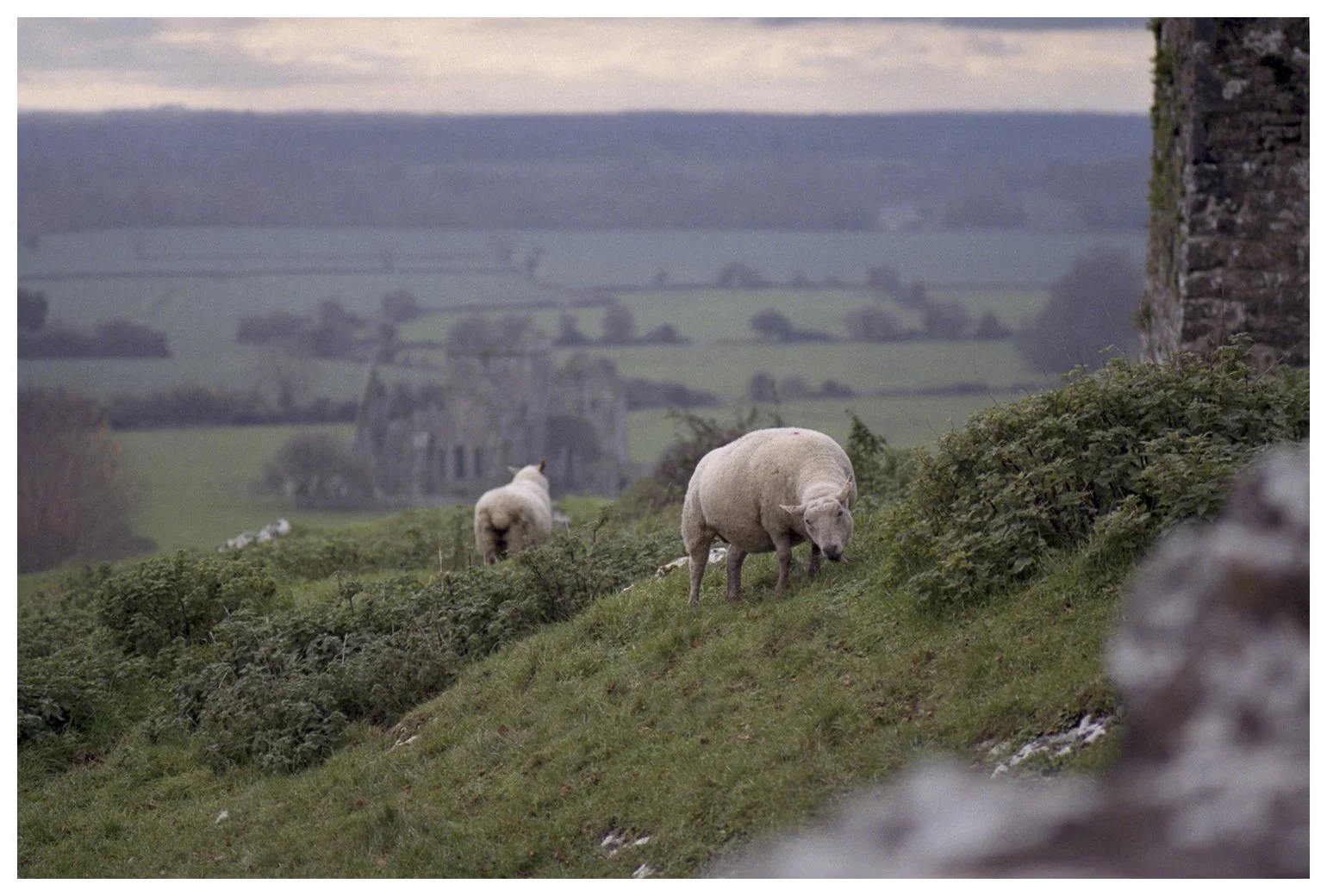 2022-Ireland_F3-Portra400-0225_RT2-LR-BOARDER.jpg