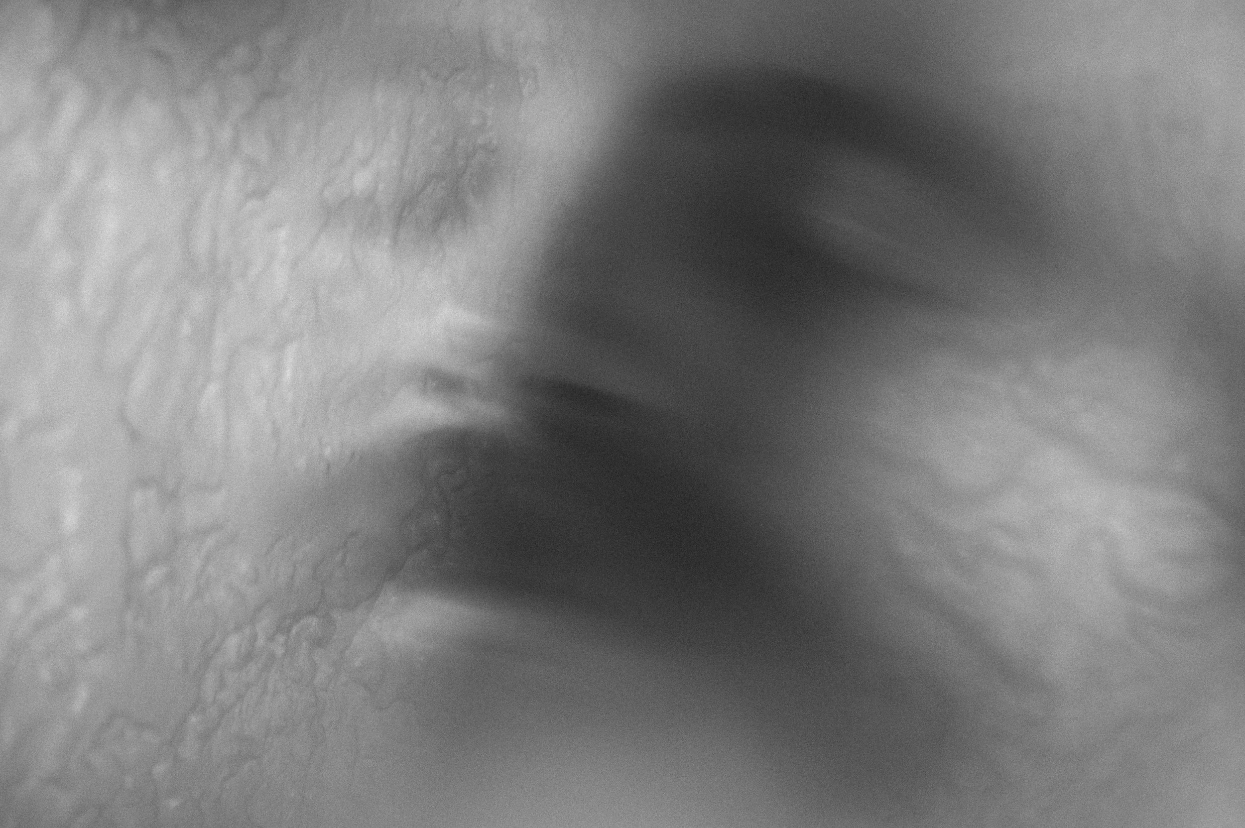 _BM61246_RT1_LR.jpg