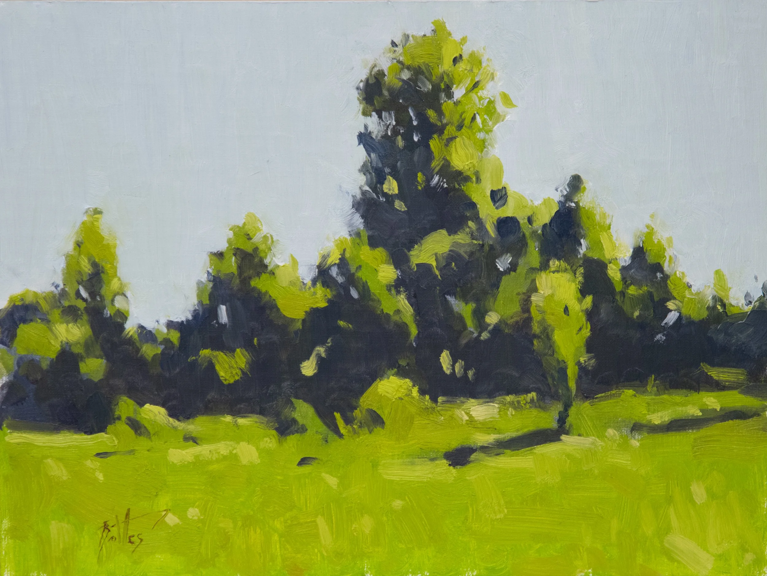 High Sun Field Study
