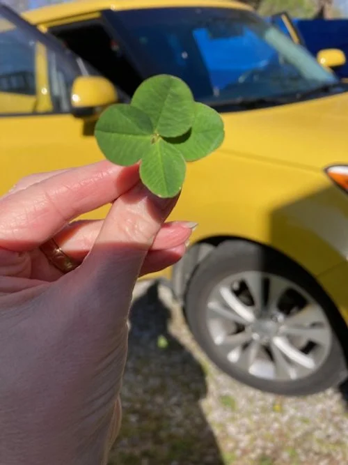 Are_We_Lucky.jpg