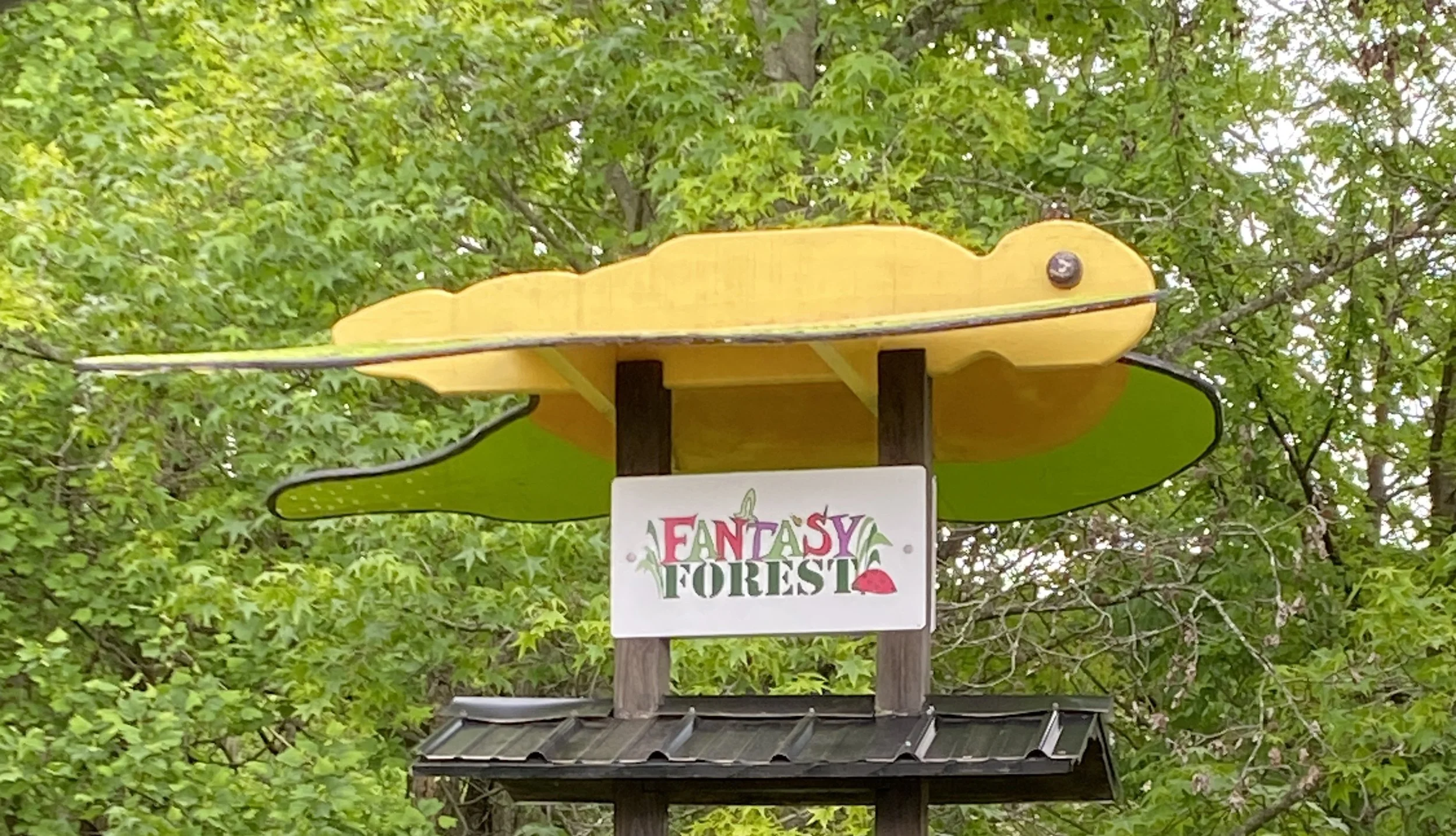 Healing Happens in Nature