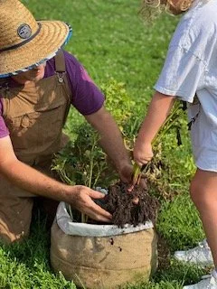 Nurturing_the_Roots_of_Future_Generations.jpg