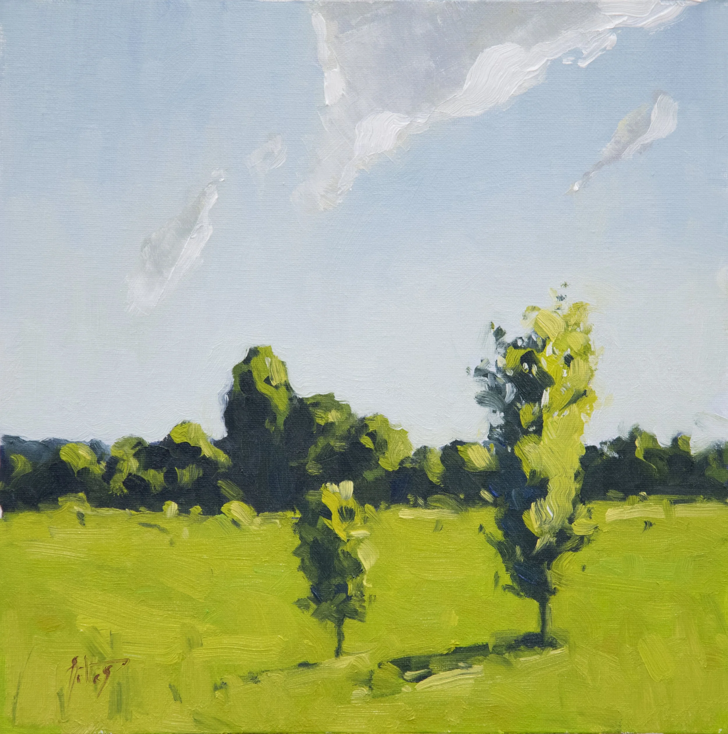 Field Under High Sun