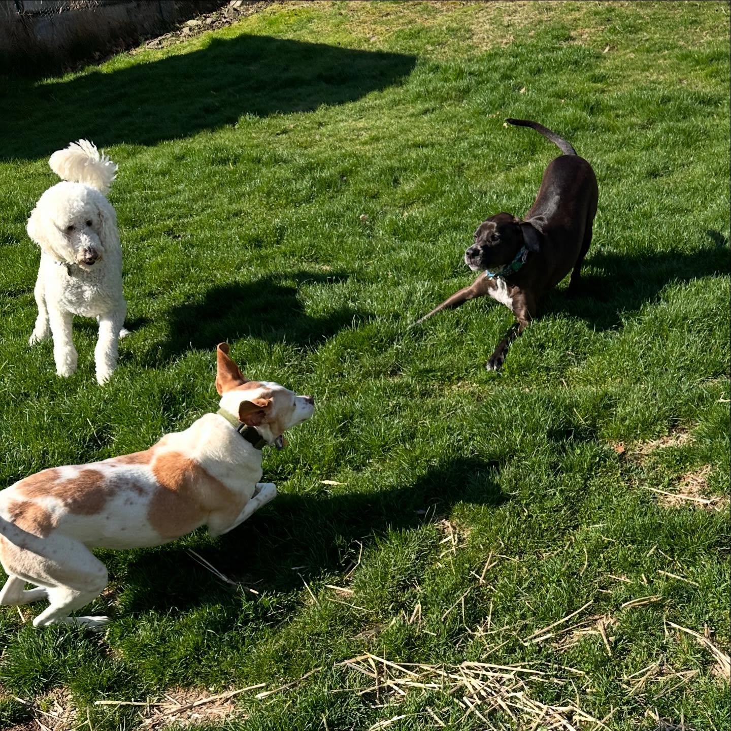 Lots of playtime happening on this beautiful weekend!