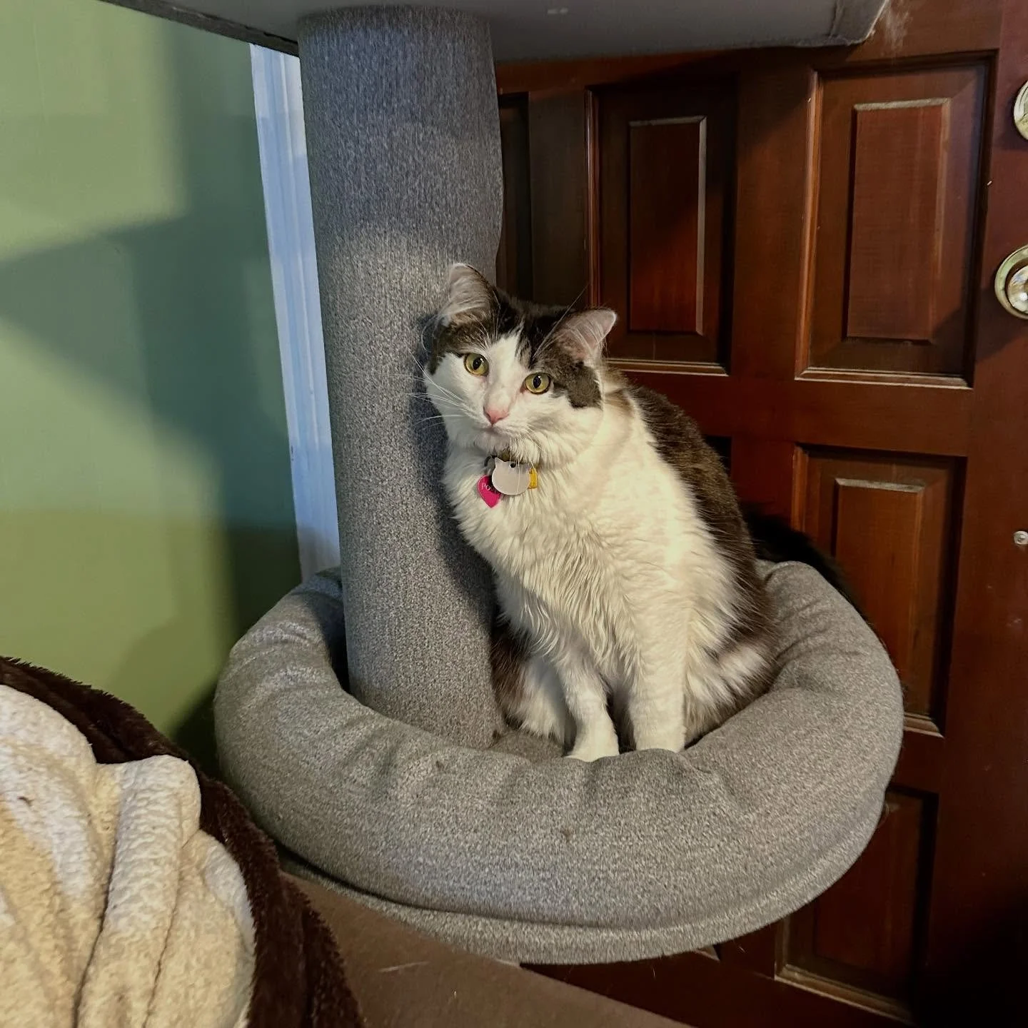 Prudence looking cute!