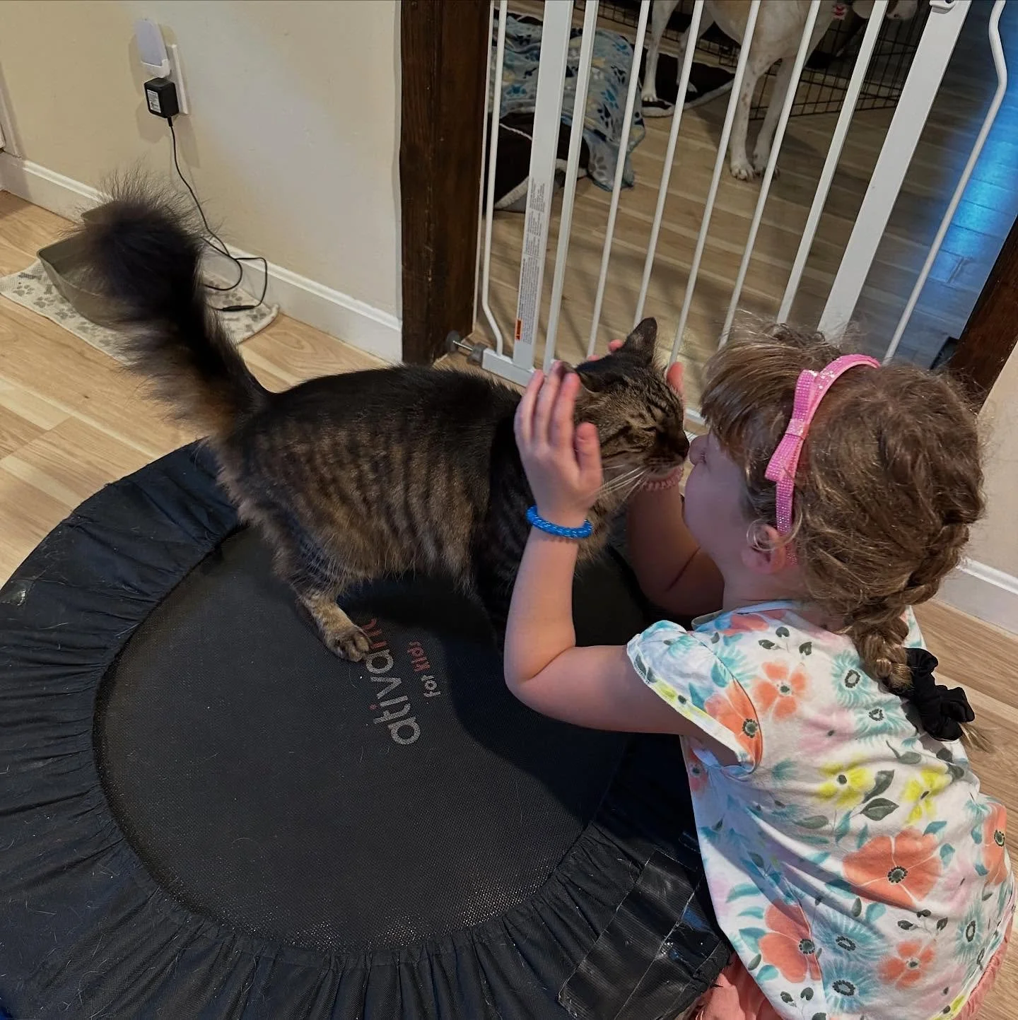 Best friends reunited! 🥰