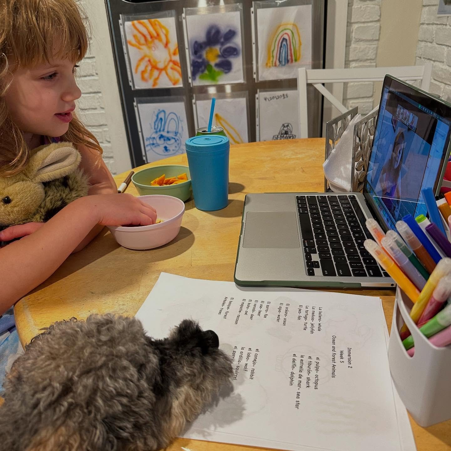 Porter hanging out for Spanish class!