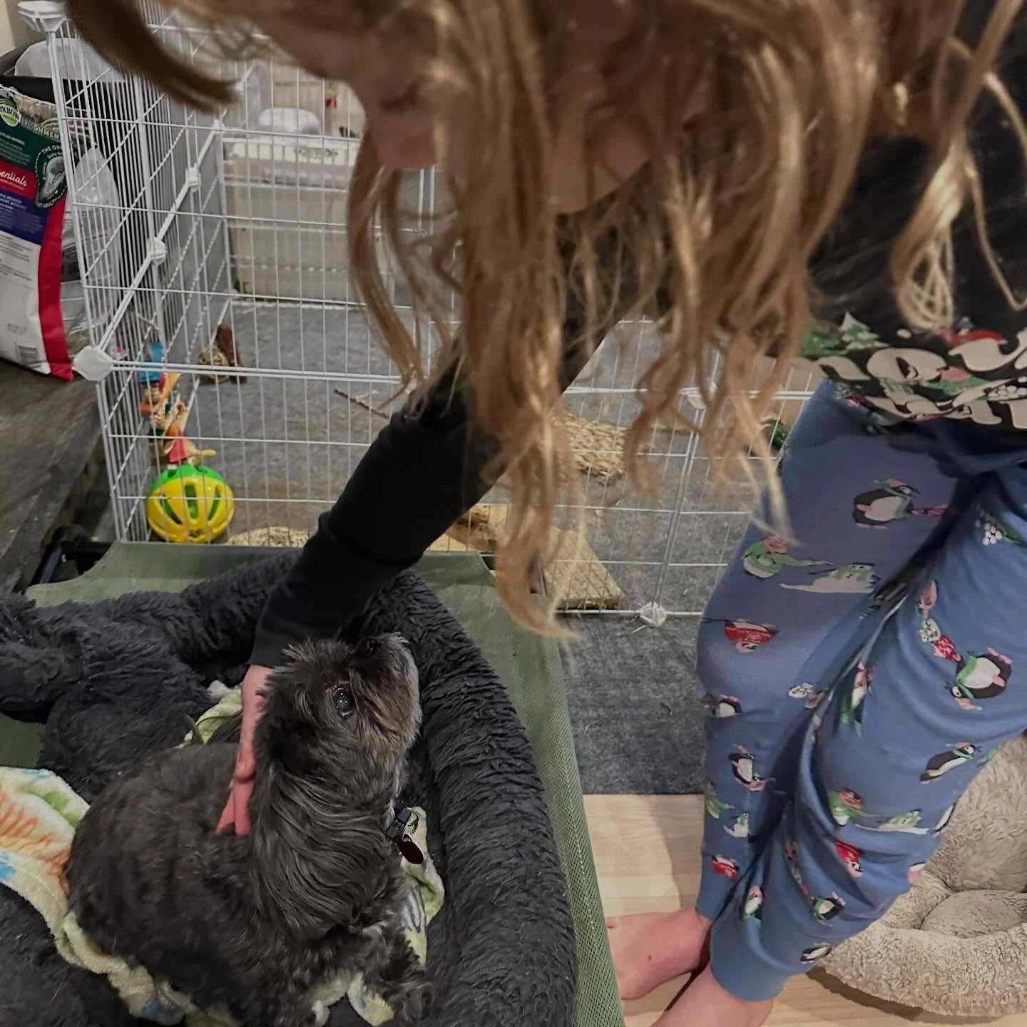 We&rsquo;re still here! This winter has been very busy and we&rsquo;ve been spending lots of time with our doggo and kitty friends. A heads up that we are mostly fully booked for cat boarding, except for a few days here and there, through August. If 