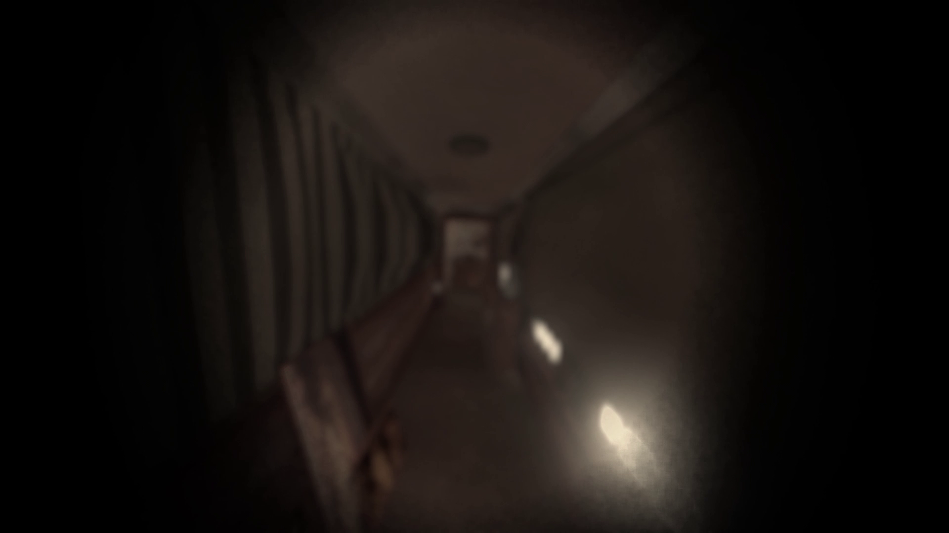 VDE Release Hallway Screenshot Effects On.png