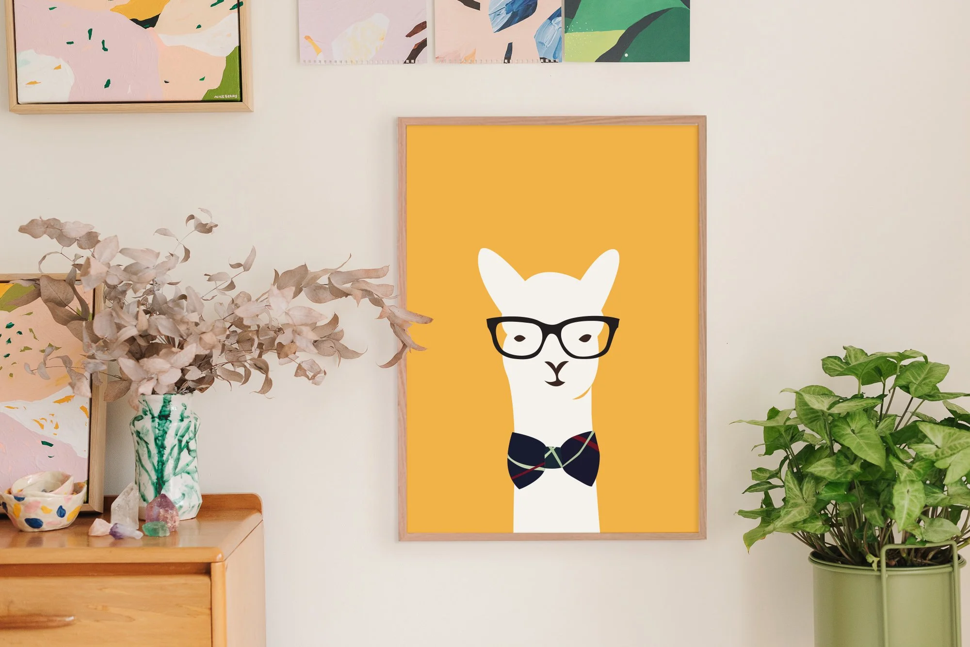 Hispter llama-In studio.jpg