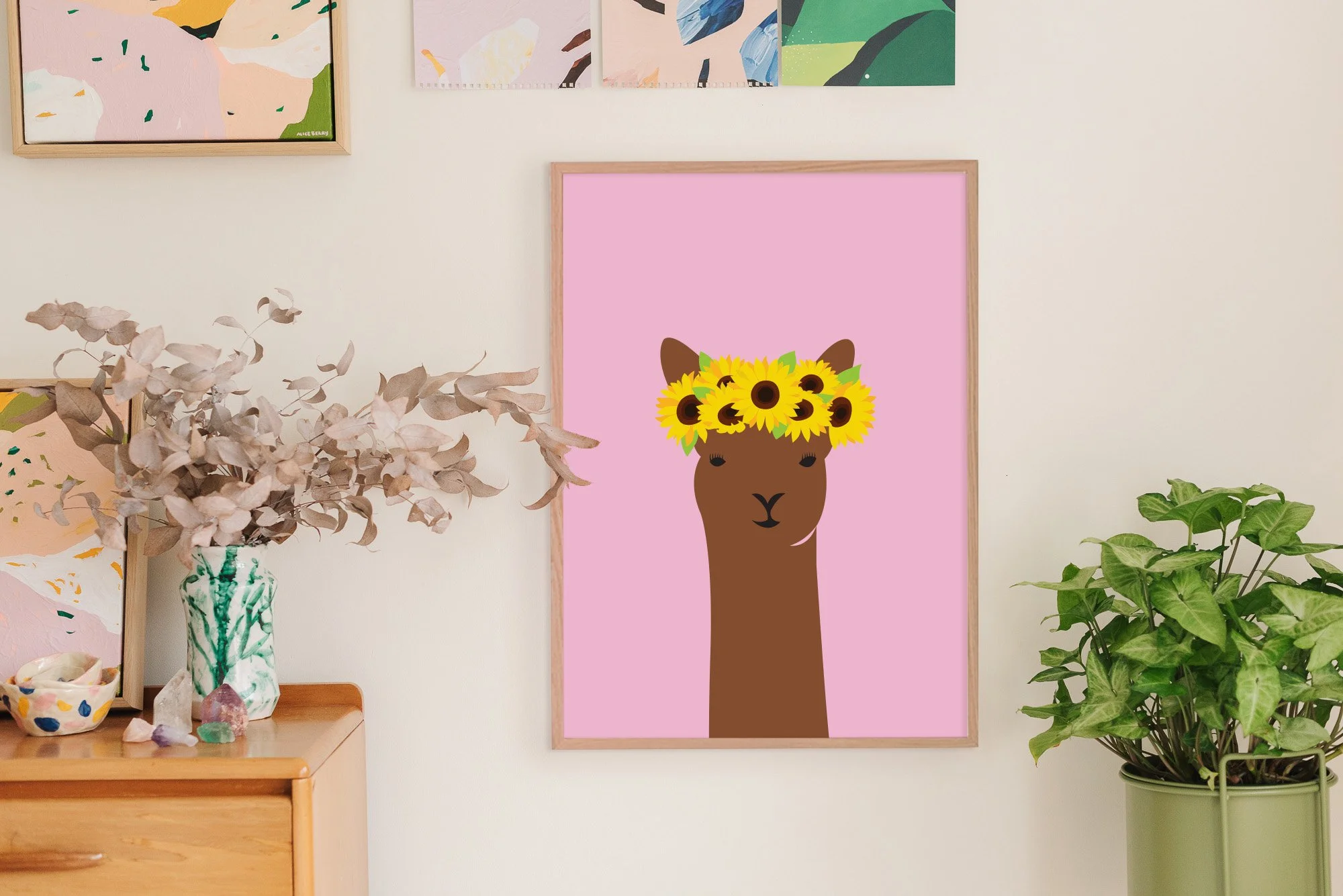 Sasha llama-In studio close up.jpg