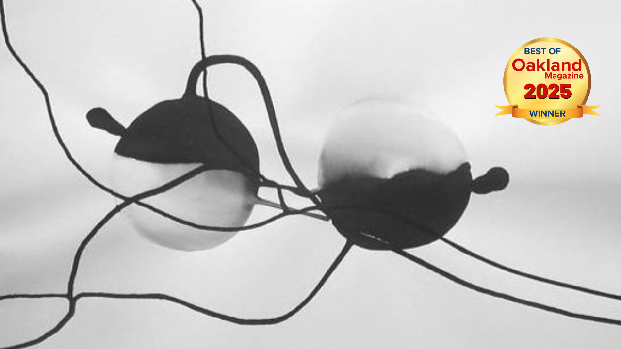 Untitled Design (6).png