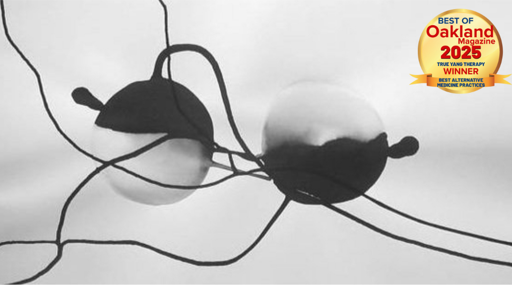 Screen Shot 2025-09-25 at 5.03.38 PM.png