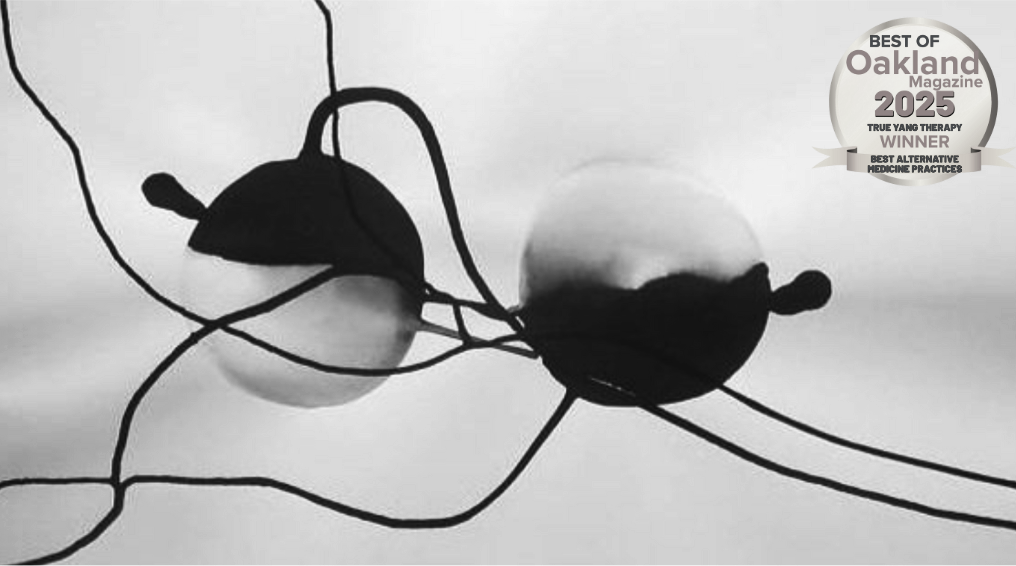 Screen Shot 2025-09-25 at 5.03.38 PM.png