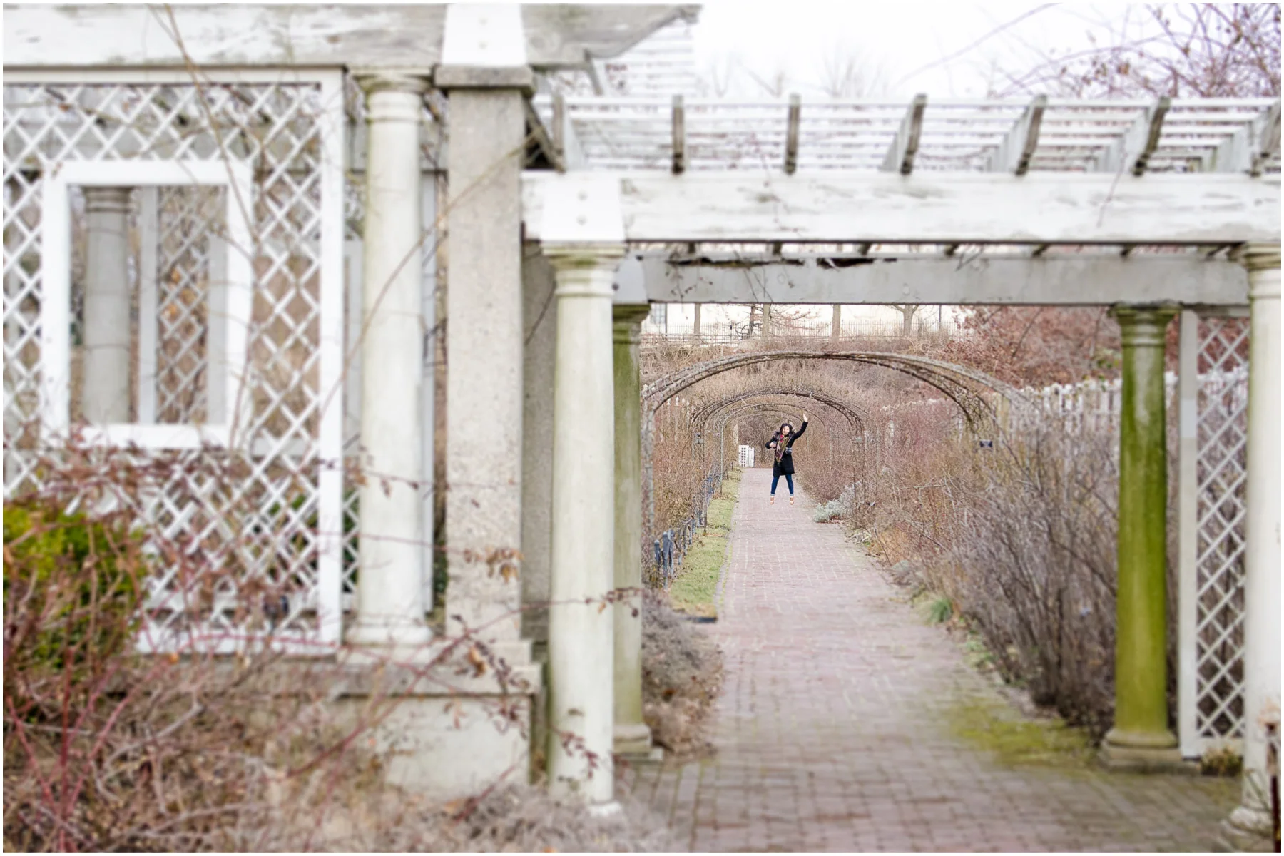 brooklyn-botanic-garden_14.jpg