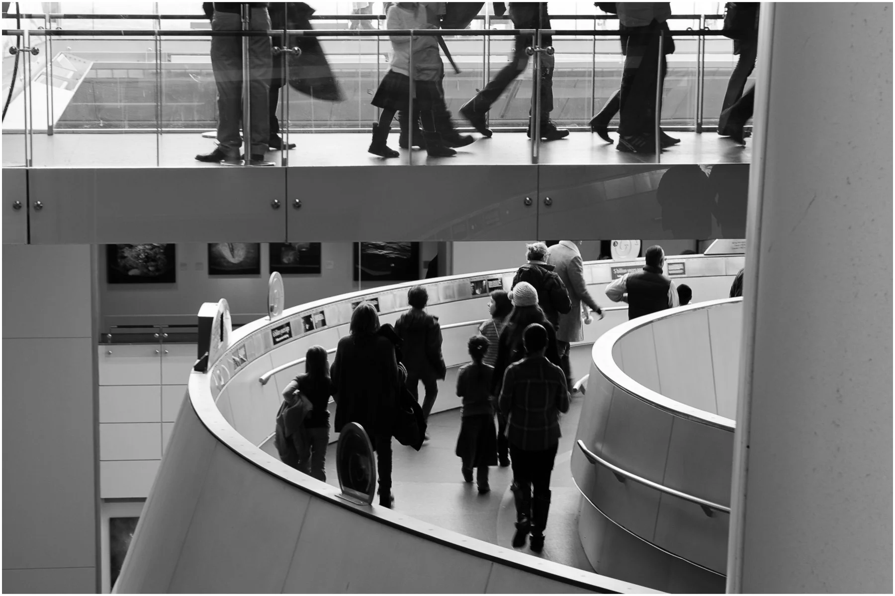 American-Museum-of-Natural-History_18.jpg