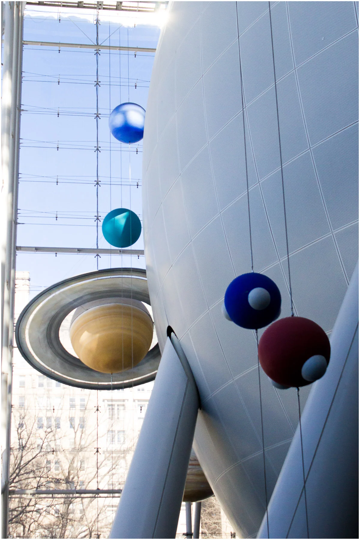 American-Museum-of-Natural-History_19.jpg