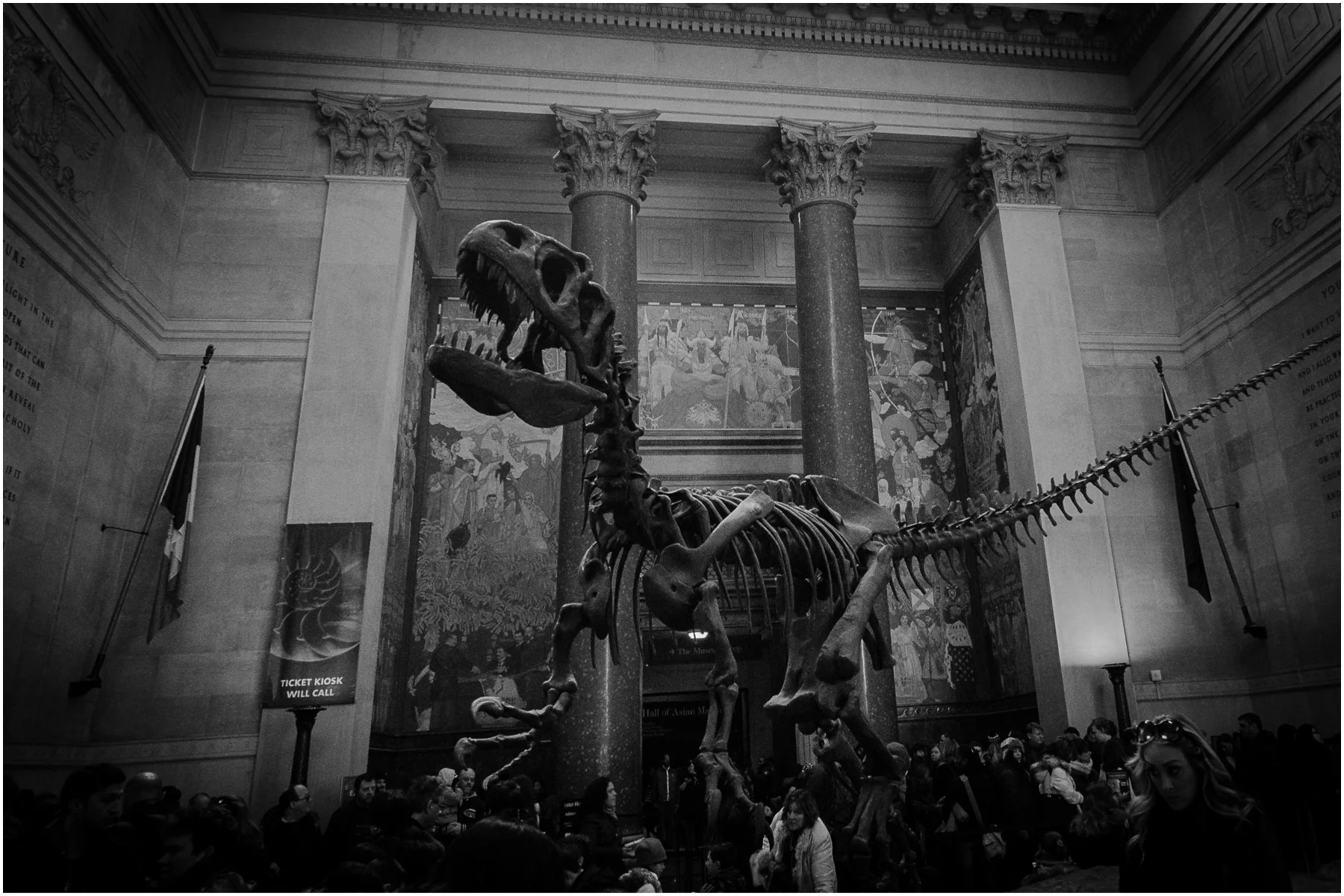 American-Museum-of-Natural-History_7.jpg
