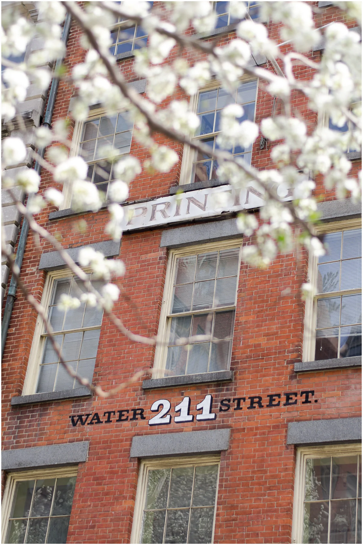 South-Street-Seaport-NYC-FIDI_5.jpg