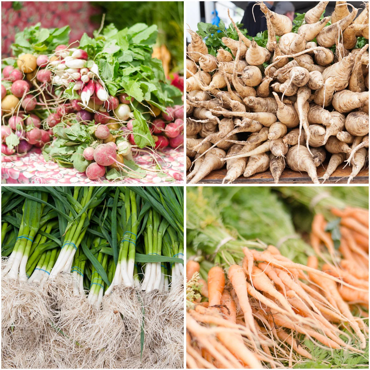 Union-Square-Greenmarket_3.jpg