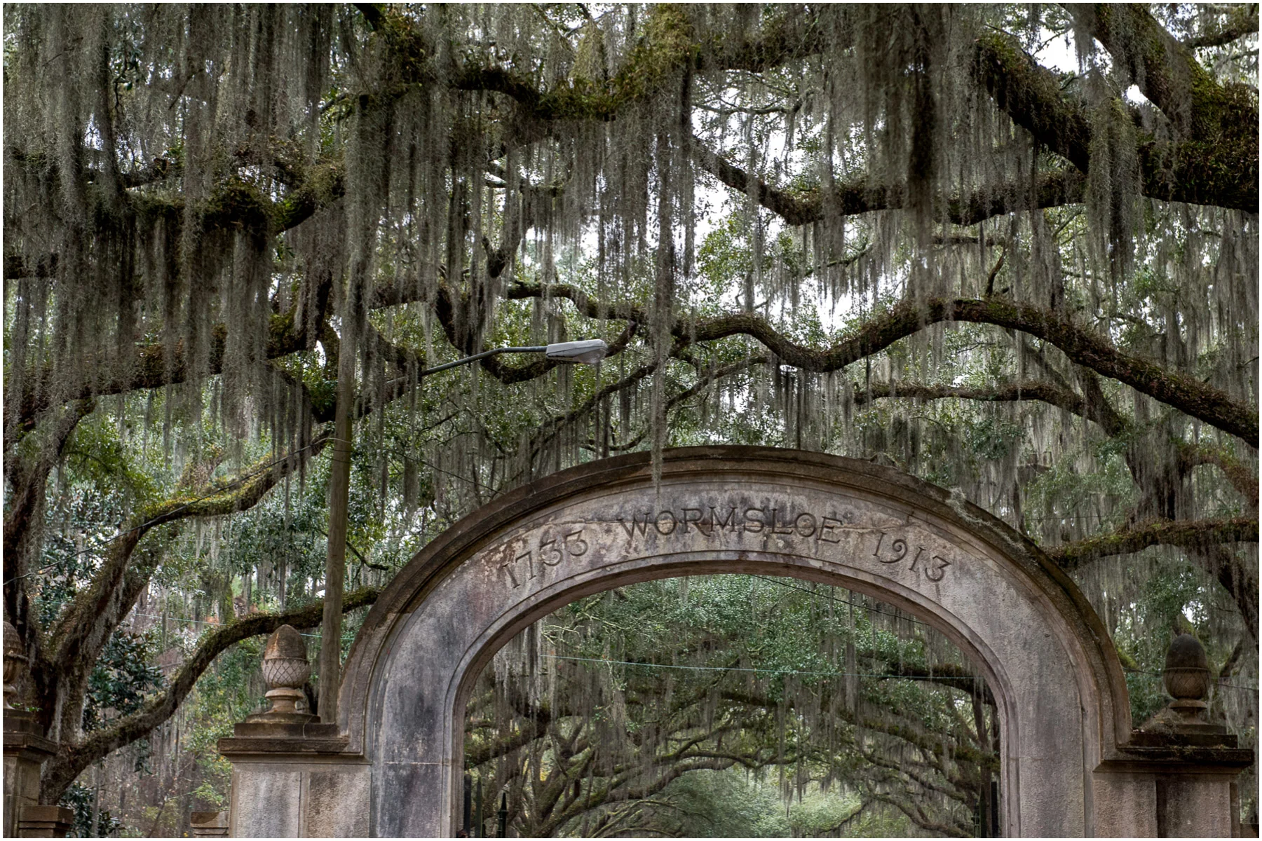 Womrslow-Plantation-Savannah-Georgia_1.jpg