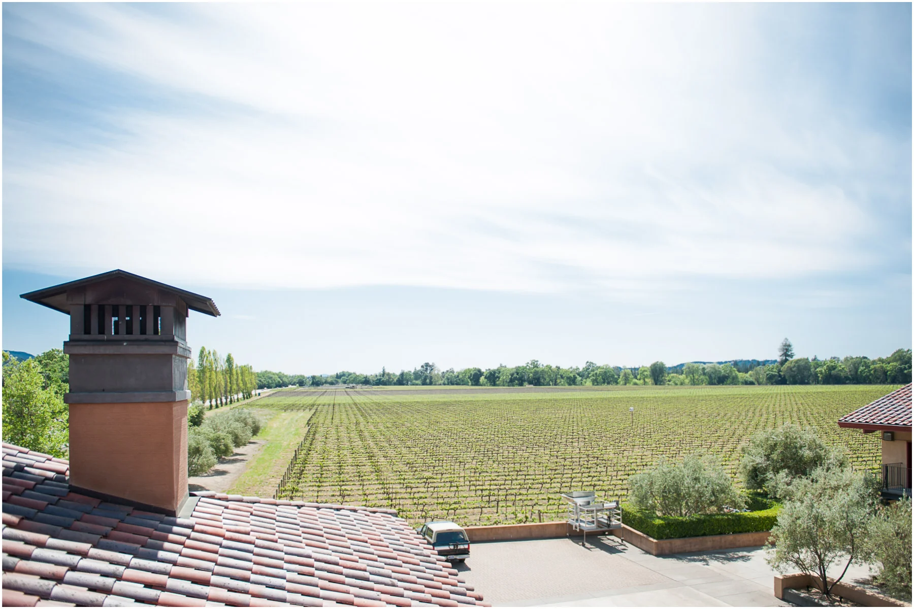 Luna-Vineyards-California-Napa-Valley_12.jpg