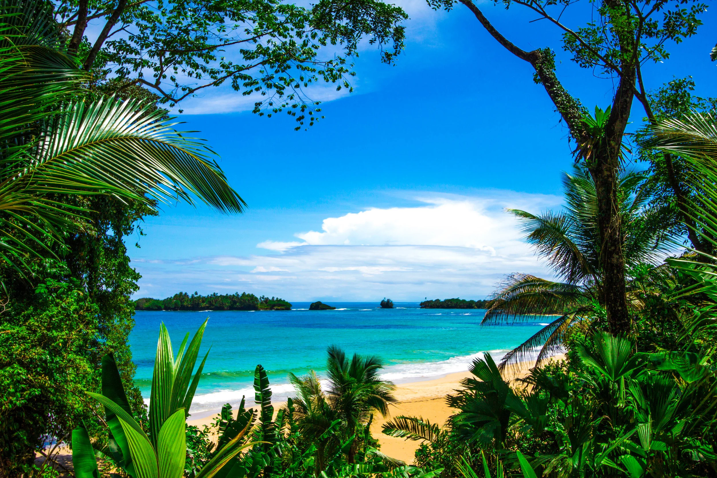 View from Beach Club.jpg
