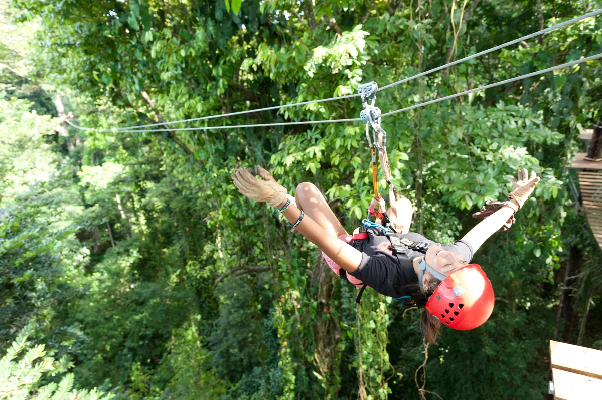 Canopy.jpg