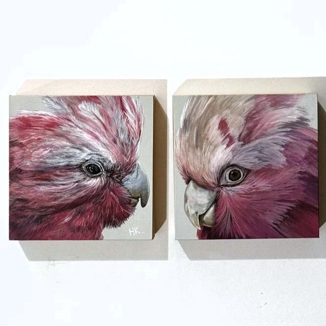 Natures Treasures Galah.jpeg