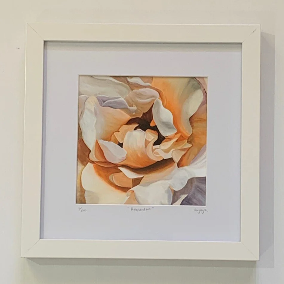 Resplendent white.JPG