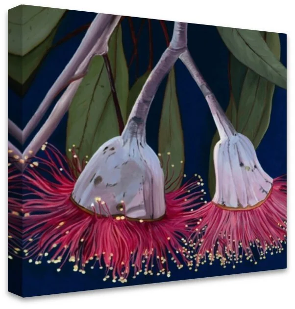 95683009-5558-48FB-9669-F0D9118EA80D