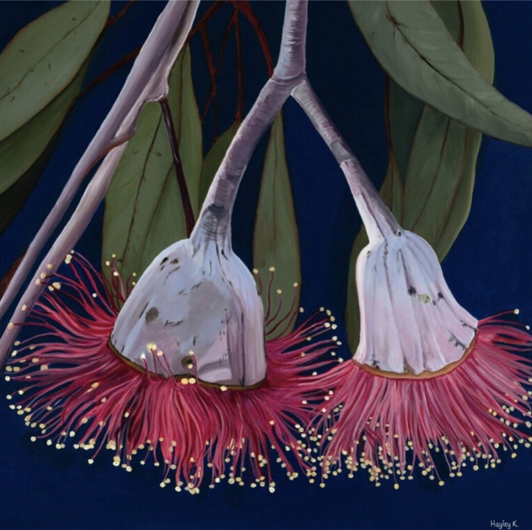 660B516A-F868-427D-B7AA-0D0ED2608791