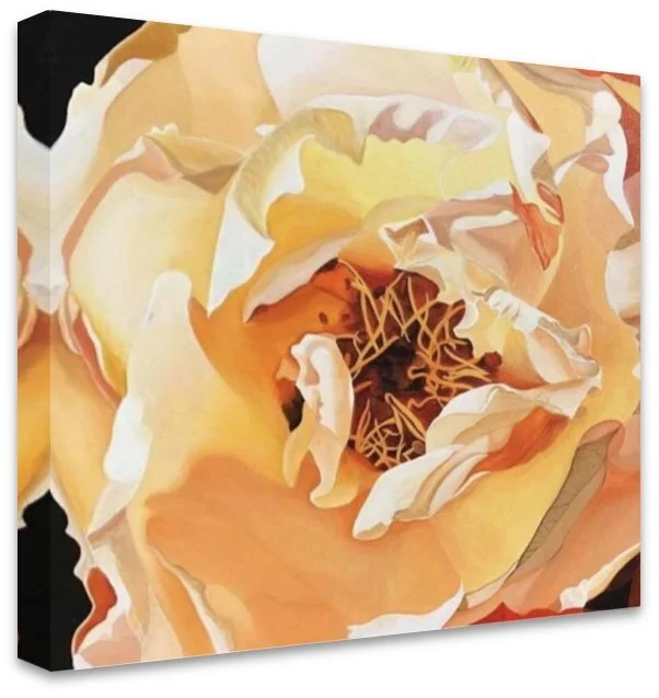 F255EB29-5E15-462E-9E93-E594CA66E7D4