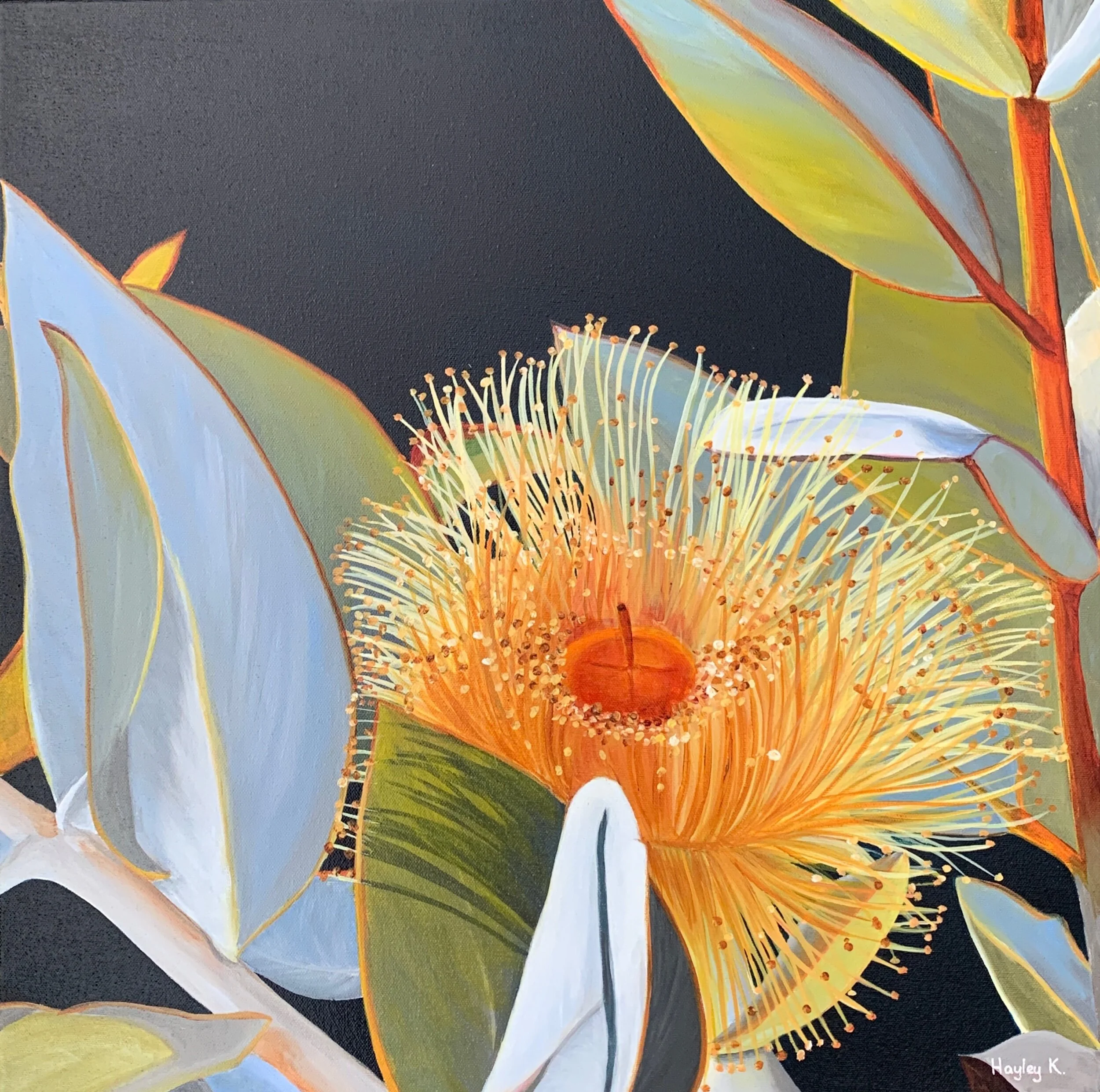 D7D444DD-9E71-4D8A-9798-4D9F06485E1B