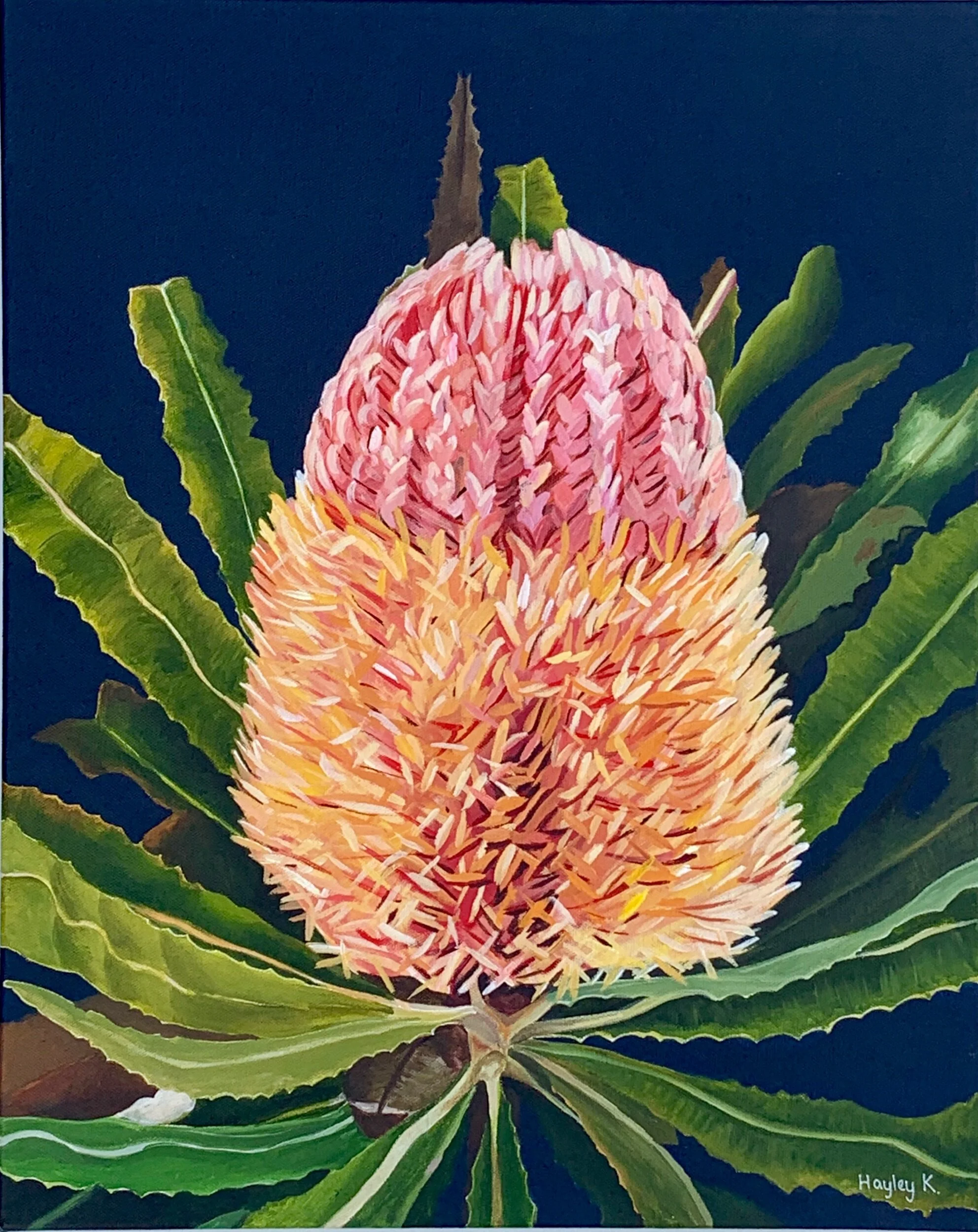 5F98FDD4-6965-45F3-BEE1-572CD6211C03