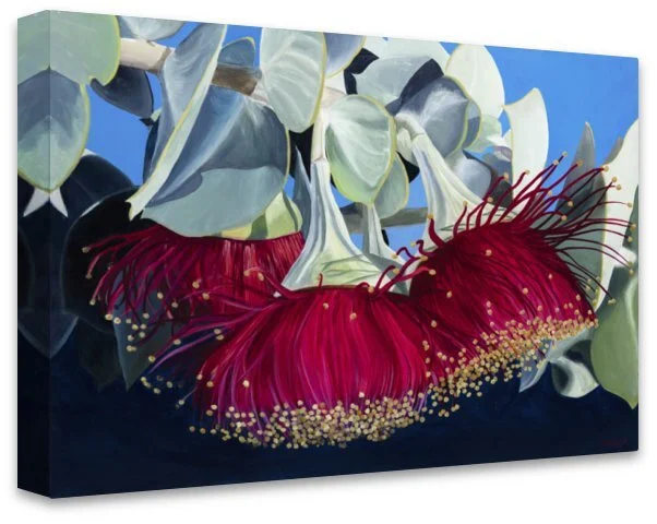 13421A68-1ACC-42FE-8B45-D96E82E5D5F1